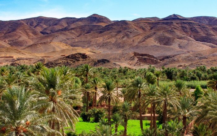 The Valley of the Draa in Morocco